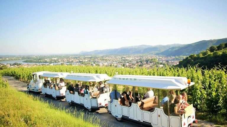 Train dans les vigne Tain